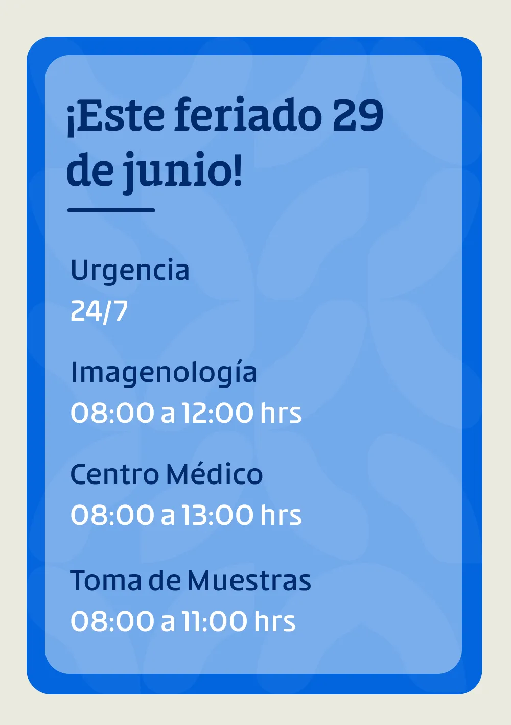 Atacama_mobile-feriado-29